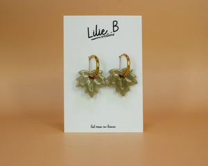 Pampilles feuilles Vert gris